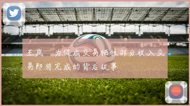 王岚嵚为促成交易牺牲部分收入交易即将完成的背后故事